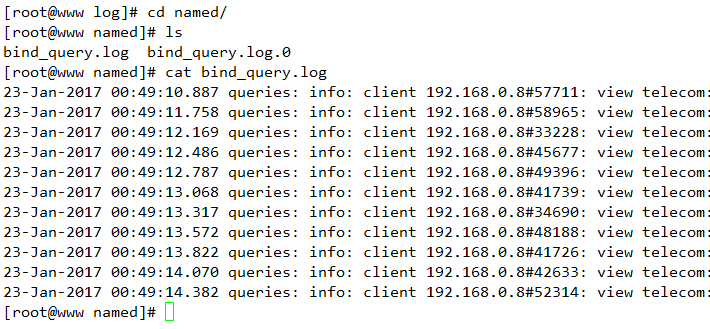 DNS的视图功能以及日志系统_Linux_23