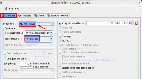 NBU 备份 SQL Server_Netbackup_06