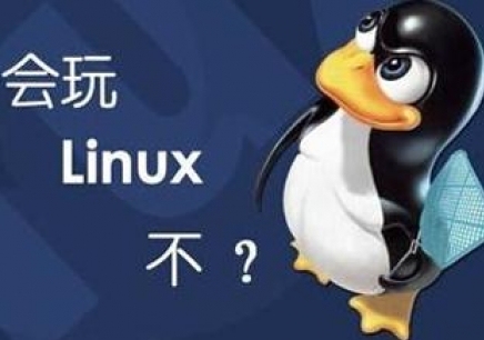 玩转Linux，哪些技能会是您的必备之选？ 