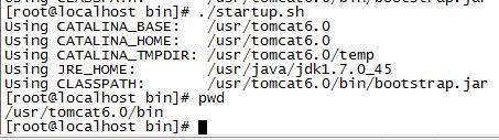 Tomcat6.0 for Linux X86_64 Install_tomcat安装_03