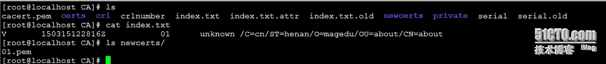 加密、解密过程及使用Opssl 工具自建CA_openssl_15