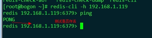 linux安装redis键值数据库服务器_linux安装redis键值数据库服务器_04