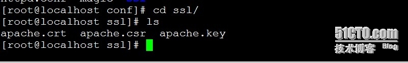 openssl+httpd实现服务器端的证书创建，自签以及客户端的证书申请_openssl 证书 pki _12