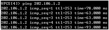 思科三层交换，PAT,DHCP_模拟器_15