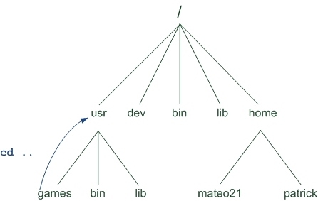 Linux入门 Part2: 目录操作(4) - cd 切换路径_linux_02