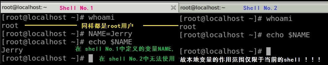 2_Shell语言———bash的快捷键、变量声明、引用变量及变量替换_Linux bash 变量 引号_05