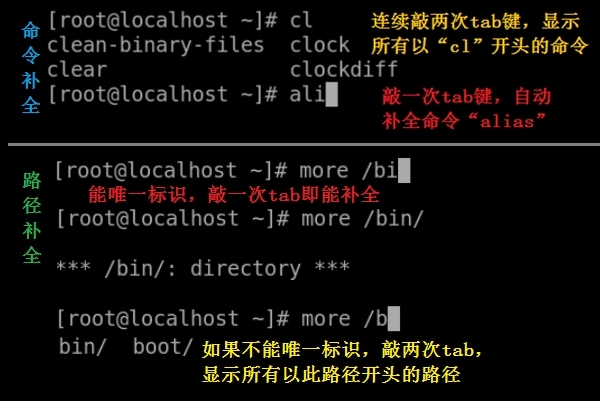 2_Shell语言———bash的快捷键、变量声明、引用变量及变量替换_Linux bash 变量 引号_04