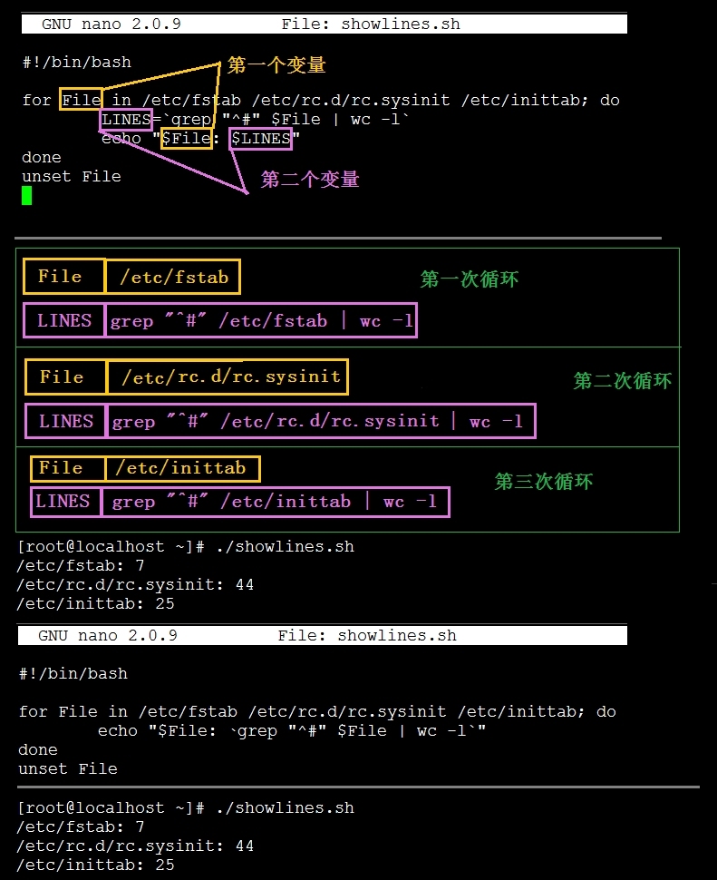 14_Shell语言———for循环实例演示(一)_Linux Shell for 循环_03