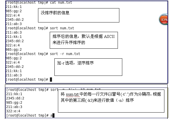 文本查看和文本处理命令_文本_03