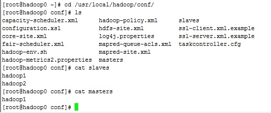 Hadoop初学指南(9)--hadoop1的集群安装_主机_02