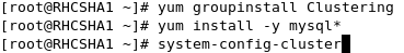 RHEL5.5配置RHCSHA集群_RHCS_19