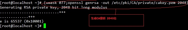 互联网安全机制及OpenSSL自建CA_互联网安全_07