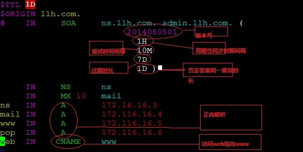 Linux之DNS多种服务搭建_搭建_07