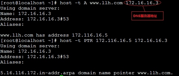 Linux之DNS多种服务搭建_linux_09
