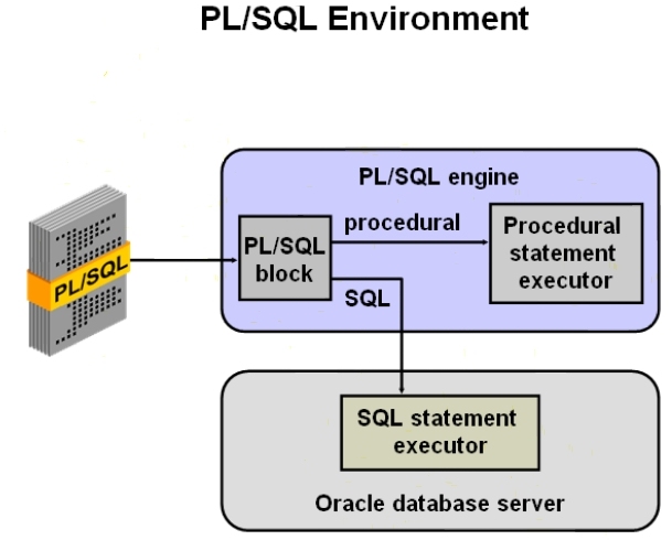 2.PL/SQL——PL/SQL概述及其基本结构_Oracle