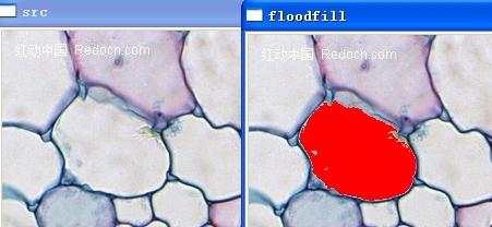 floodfill 漫水填充 查找相近的像素点_opencv