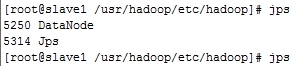 hadoop2.2完全分布式高可靠安装文档_分布式_09