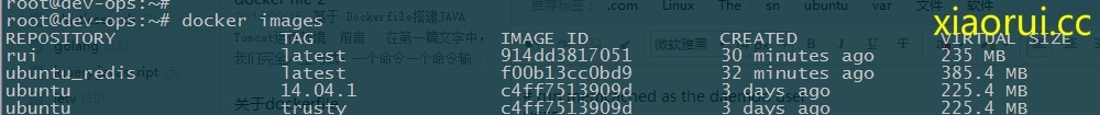 用dockerfile配置生成docker image并实现容器部署_dockerfile