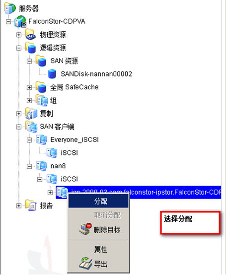 FalconStor Management Console试验_飞康管理控制台_27