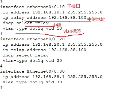 dhcp在企业网络中的应用_交换_05