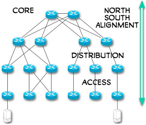 n-s网络，纵向网络结构