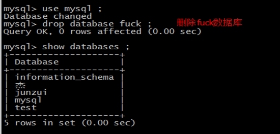 SQL语句的使用_数据库_09