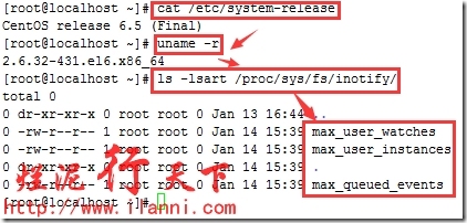 rsync与inotify集成实现数据实时同步更新_inotify