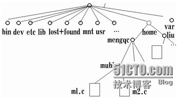 Linux目录结构的介绍以及强制位、冒险位_冒险位