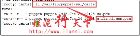 烂泥：puppet3.7安装与配置_安装_66