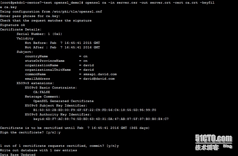 Nginx + openssl  搭建https服务_输入密码_07