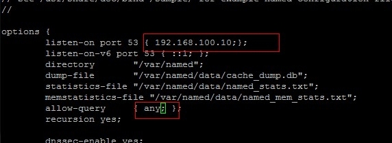 linux服务器上搭建DNS服务_搭建_03