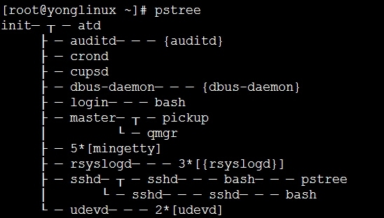 linux系统日常管理的命令_系统管理_08