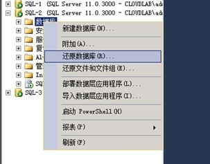 SQL Mirror配置手册_SQL Server_24