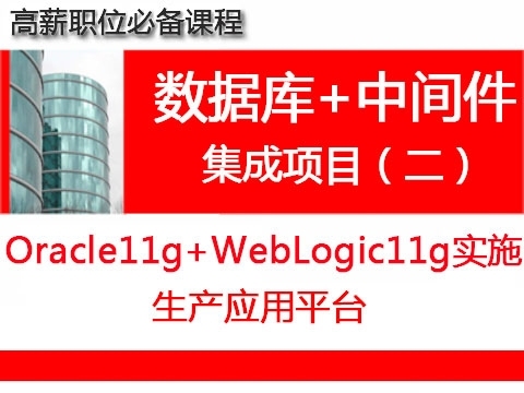 生产系统Linux下Oracle+WebLogic数据库项目实施与维护-视频培训教程_ oracle 11g安装图解