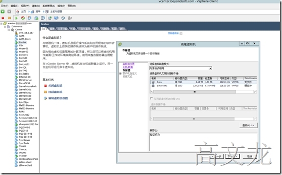 Vmware Vcenter6.0 虚拟机管理---克隆_克隆_05