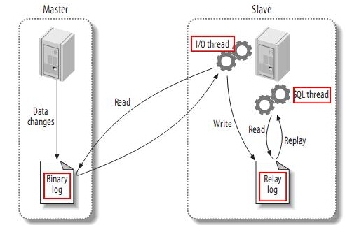 mysql 建主从服务器_mysql主从