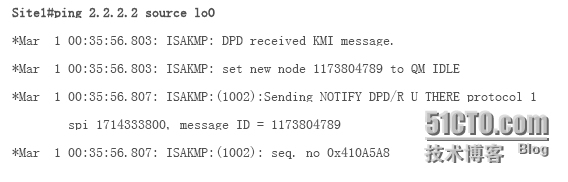 IPSec_DPD技术_技术_10