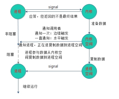  IO模型学习笔记_IO模型_04