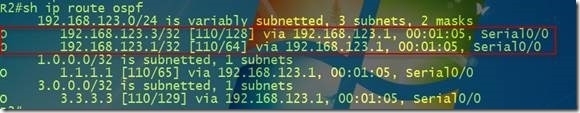 [Lab 2] OSPF专题_OSPF专题_06