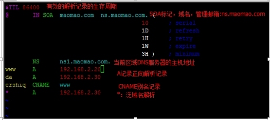 Centos6.5 DNS搭建 _bind_04