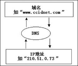 DNS基本原理与配置_DNS网络服务