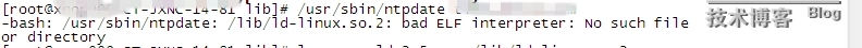  bad ELF interpreter: No such file or directory_软件