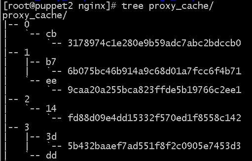 nginx的proxy_cache缓存相关配置_nginx的proxy_cache缓存相_05