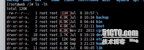 linux 常用查看文件命令_信息_02