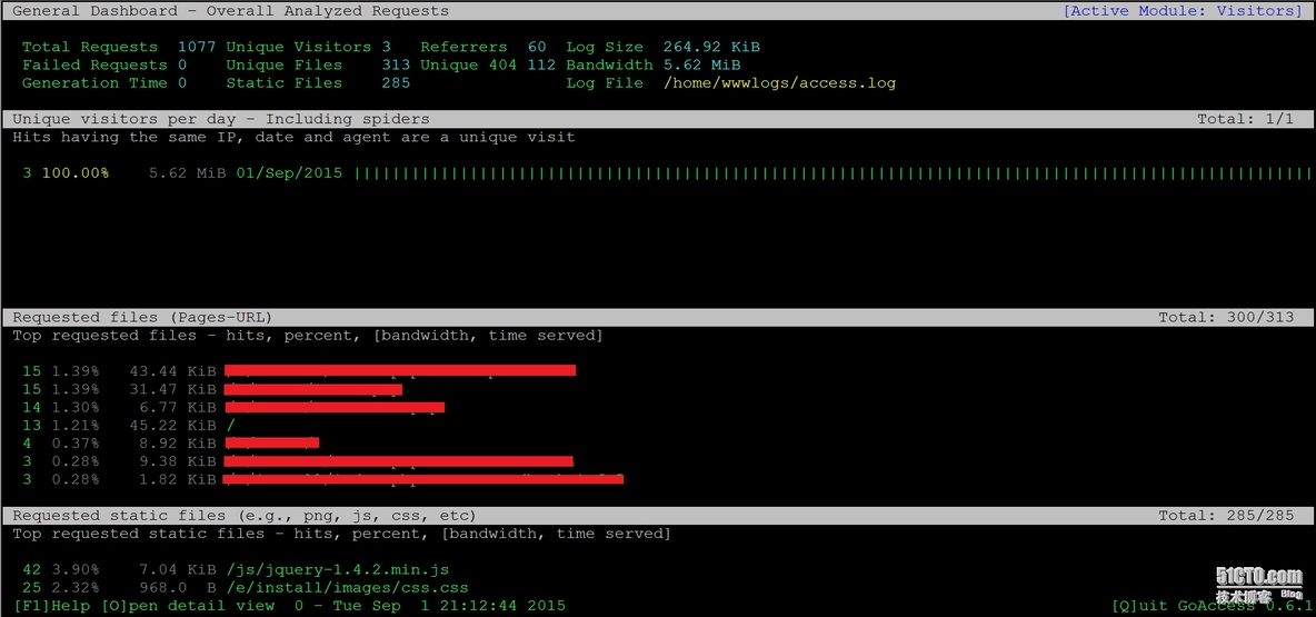 用GoAccess来分析Nginx日志_日志分析_04