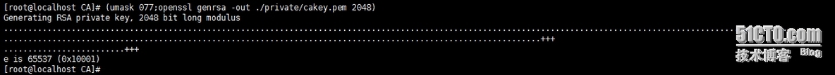 Linux之加密解密基础、openssl及CA基础应用_CA_06