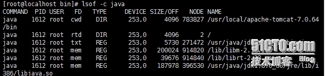 lsof__强大的系统监控、诊断命令_lsof  磁盘满  df  du_09