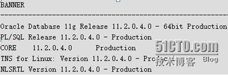 oracle 11g for suse 11g sp2  _SUSE 11 SP2 ORACLE 1_49