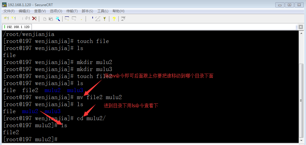 Linux命令与文件系统_文件_08