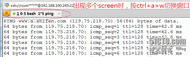 Screen命令_linux_02